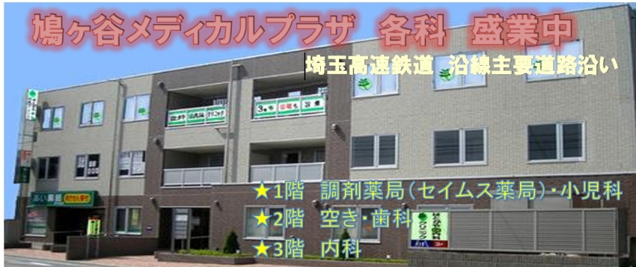 鳩ケ谷メディカルプラザ